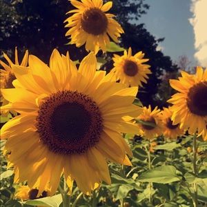 Meet your Posher, Madena